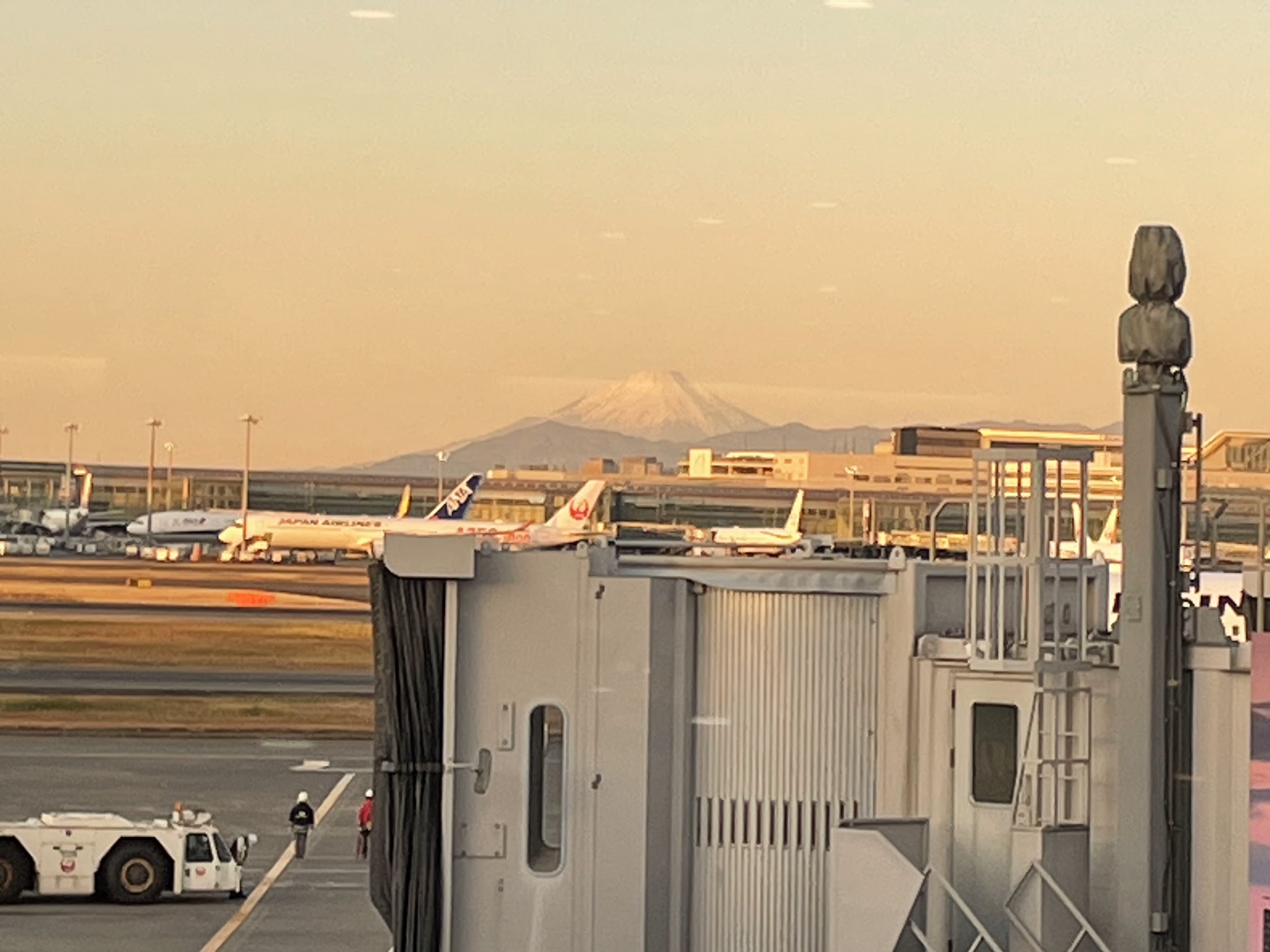 朝焼け？の富士山！ ゴミパックンのミツヤ