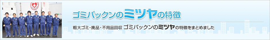 ゴミパックンのミツヤの特徴